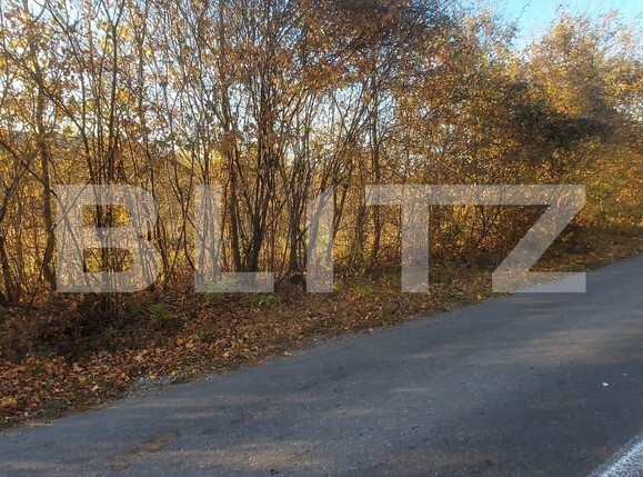 Teren de vânzare Nord-Vest - 101858TV | BLITZ Târgoviște | Poza2