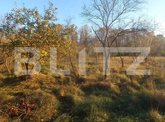 Teren de vânzare Nord-Vest - 101858TV | BLITZ Târgoviște | Poza4