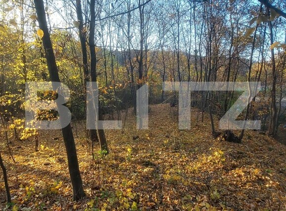 Teren de vânzare Nord-Vest - 101858TV | BLITZ Târgoviște | Poza3