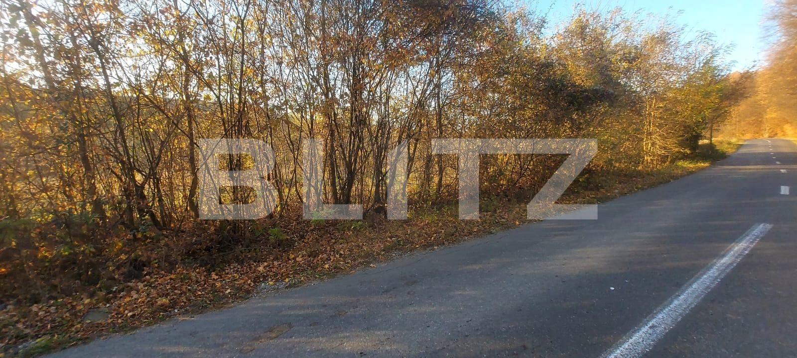 Teren de vânzare Nord-Vest - 101858TV | BLITZ Târgoviște | Poza2