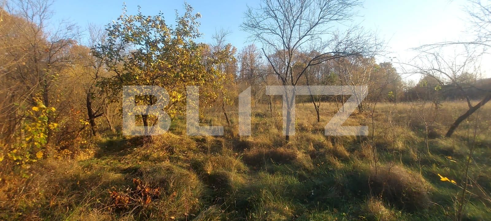 Teren de vânzare Nord-Vest - 101858TV | BLITZ Târgoviște | Poza4