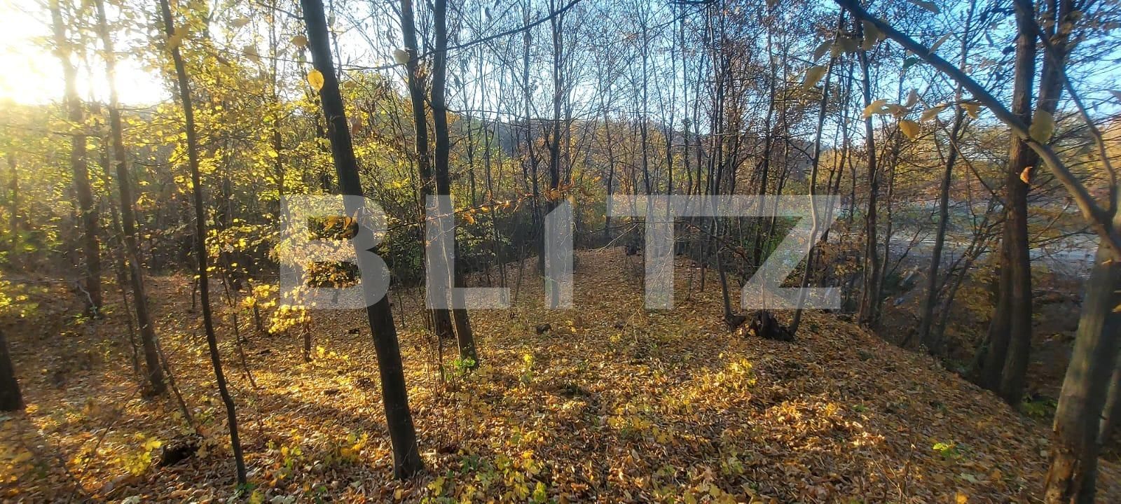 Teren de vânzare Nord-Vest - 101858TV | BLITZ Târgoviște | Poza3