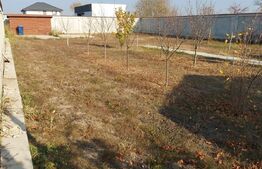 Casă individuală, 906 mp teren, Răcari 