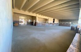 Oportunitate! Spatiu comercial, 5800mp, zona Centrala