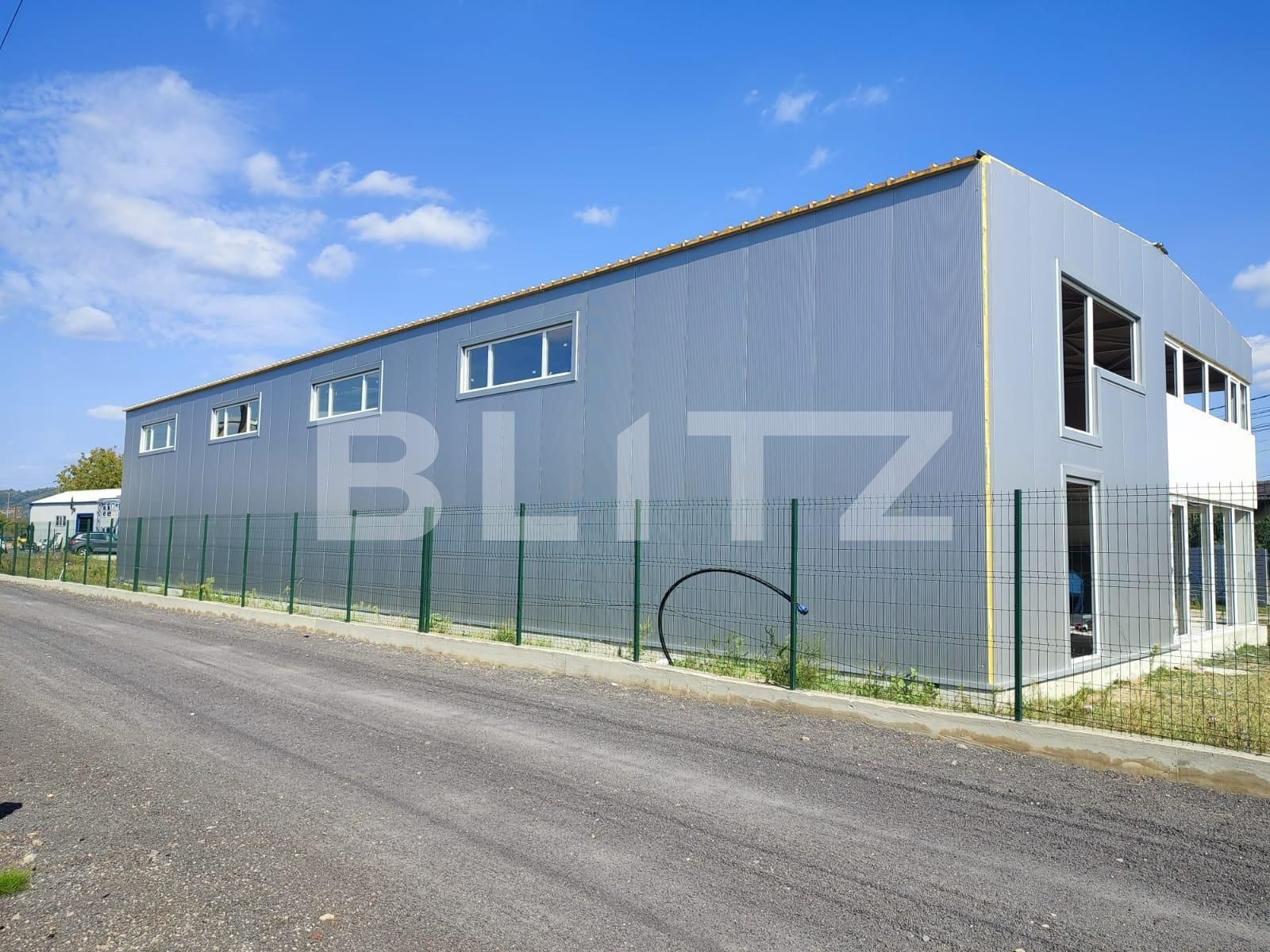 Spațiu industrial de închiriat Exterior Nord - 102287SII | BLITZ Târgoviște | Poza8