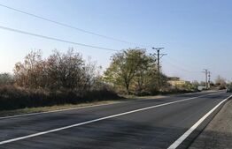 Oportunitate! Teren intravilan, 5825 mp, Dragomirești