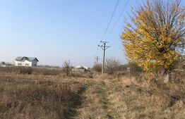 Oportunitate! Teren intravilan, 5825 mp, Dragomirești