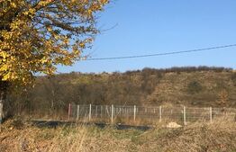 Oportunitate! Teren intravilan, 5825 mp, Dragomirești