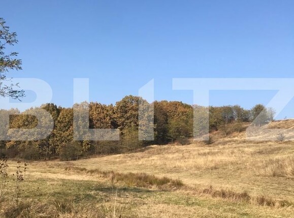 Teren de vânzare Vest - 102418TV | BLITZ Târgoviște | Poza4