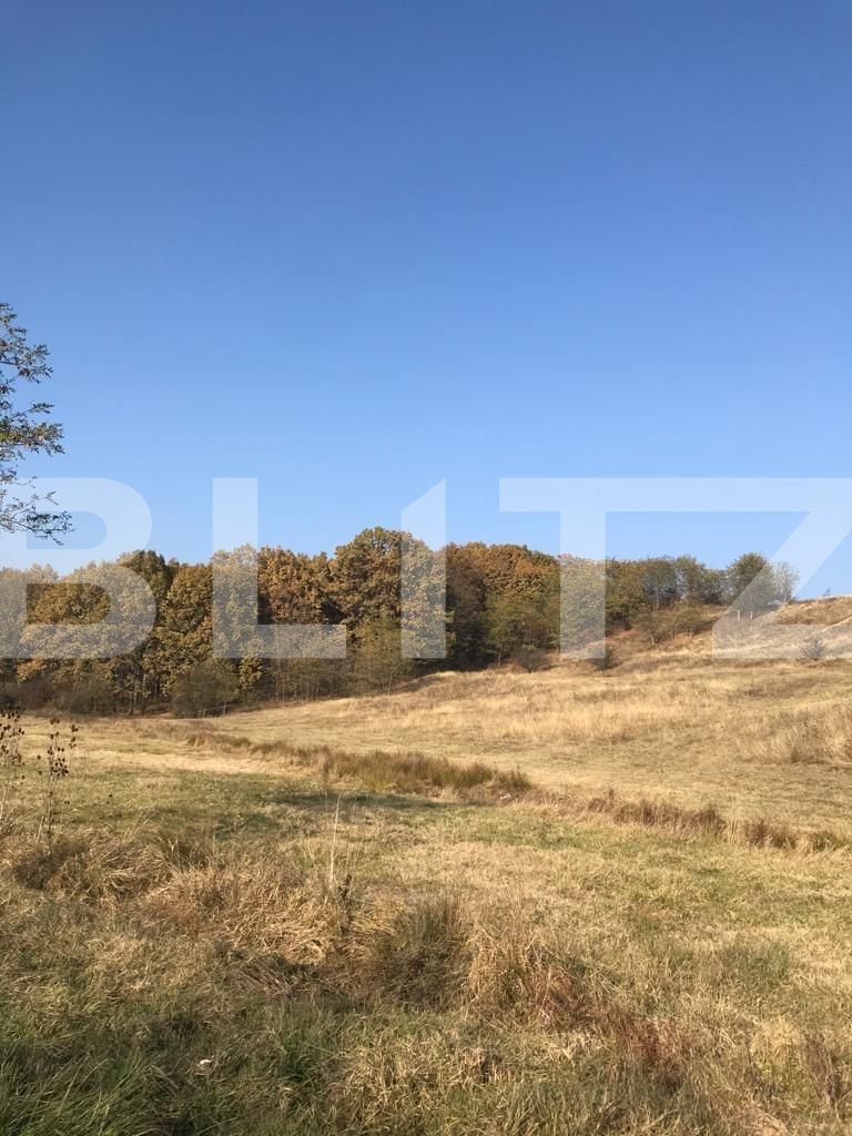 Teren de vânzare Vest - 102418TV | BLITZ Târgoviște | Poza4