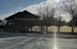 Oportunitate! Casă individuală, 91 mp, 710mp teren, front 44 ml, Fieni