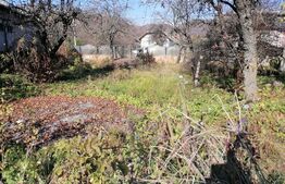 Oportunitate! Casă individuală, 91 mp, 710mp teren, front 44 ml, Fieni