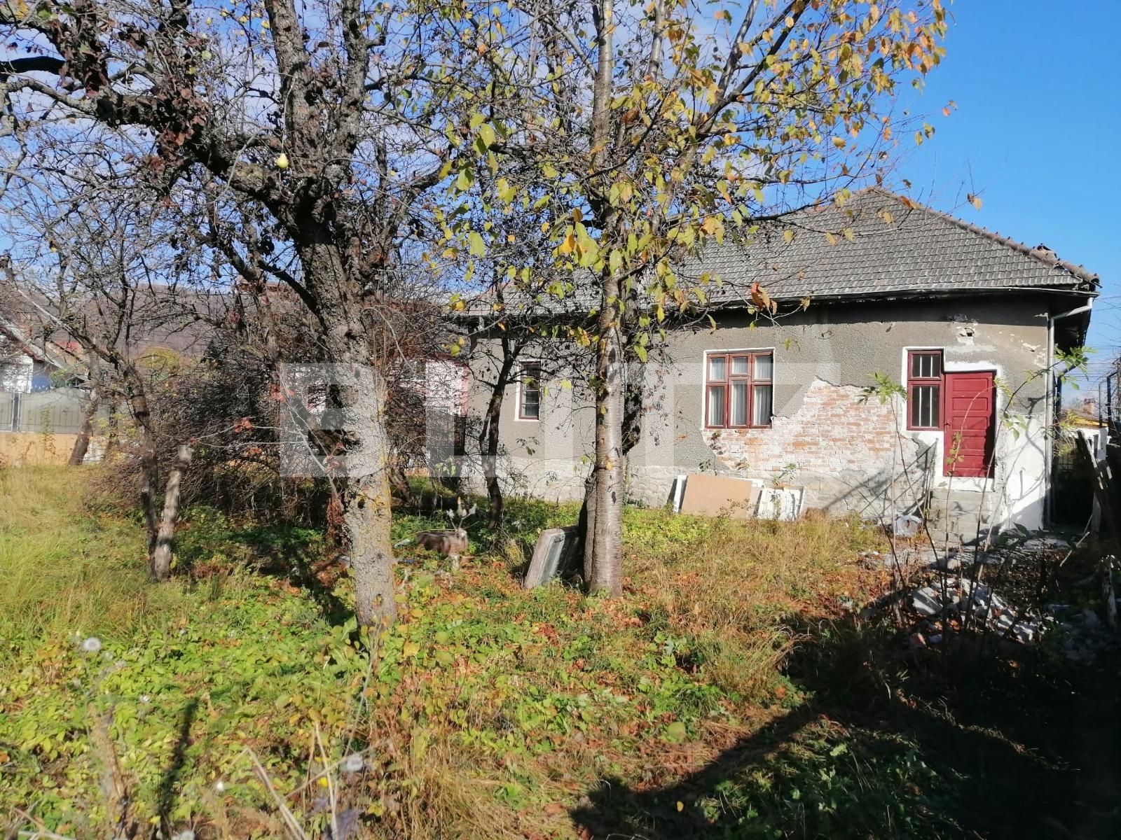 Casa de vânzare 4 camere Pucioasa - 102428CV | BLITZ Târgoviște | Poza3