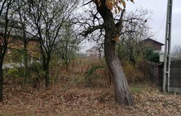 Teren intravilan, 10000 mp, Târgoviște