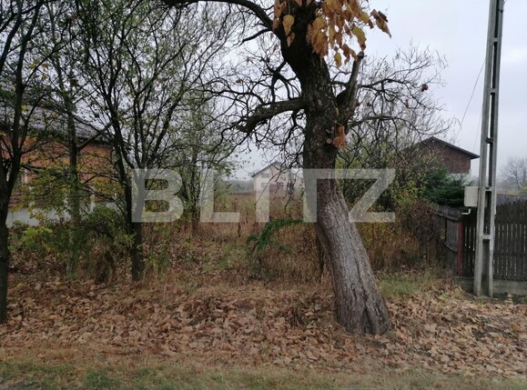 Teren de vânzare Vest - 102522TV | BLITZ Târgoviște | Poza1