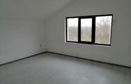 Vila superba! P+M 4 camere suprafata 188 mp & curte/teren 615 mp, Răzvad