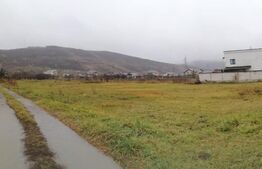 Oportunitate! Teren intravilan 2718 mp, Aninoasa, front 27 ml