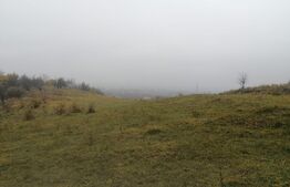 Oportunitate! Teren intravilan, 16466 mp, front 133 ml, Aninoasa