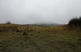 Oportunitate! Teren intravilan, 16466 mp, front 133 ml, Aninoasa