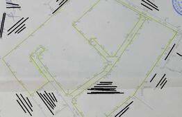 Oportunitate! Teren intravilan, 16466 mp, front 133 ml, Aninoasa