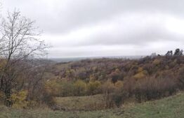 Teren intravilan, 14695 mp, Mănăstirea Dealu 