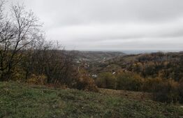 Teren intravilan, 14695 mp, Mănăstirea Dealu 