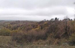 Teren intravilan, 14695 mp, Mănăstirea Dealu 