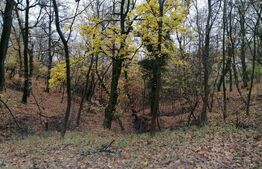 Teren intravilan, 14695 mp, Mănăstirea Dealu 