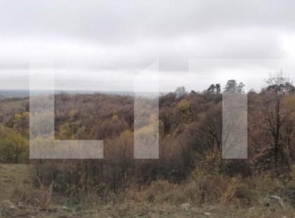 Teren de vânzare Exterior Nord - 103142TV | BLITZ Târgoviște | Poza3