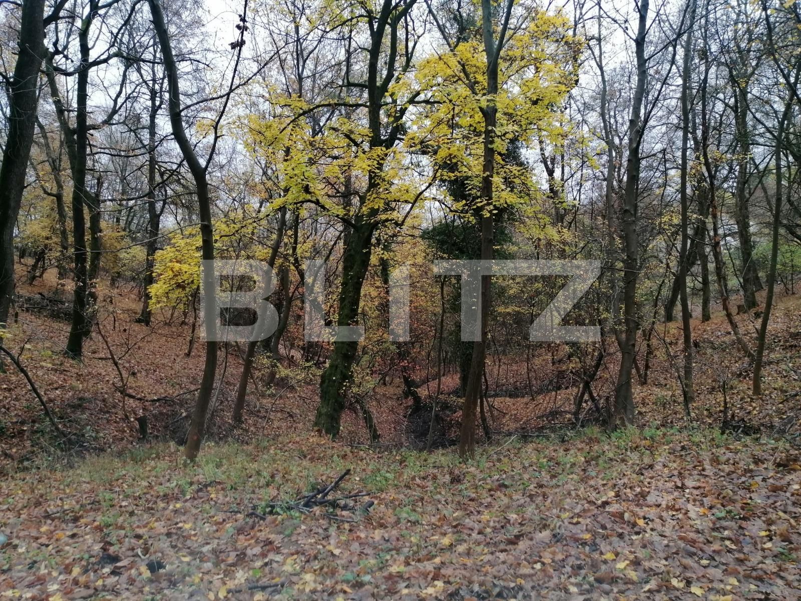 Teren de vânzare Exterior Nord - 103142TV | BLITZ Târgoviște | Poza2