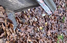 Teren intravilan 459 mp,cu o casā renovabilā