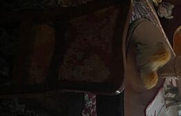 Teren intravilan 459 mp,cu o casā renovabilā