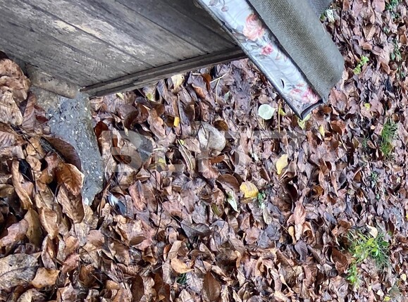 Teren de vânzare Nord - 103433TV | BLITZ Târgoviște | Poza5