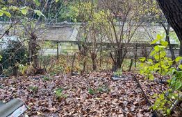 Casa individuala, 3 camere, teren 459 mp, Targoviste