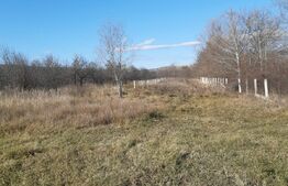 Teren intravilan, 1934 mp, Sotanga