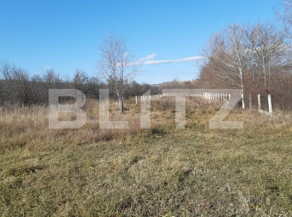 Teren de vânzare Exterior Nord - 103450TV | BLITZ Târgoviște | Poza3