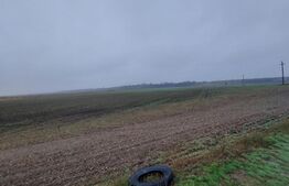 Teren 3000 mp, Corbii Mari