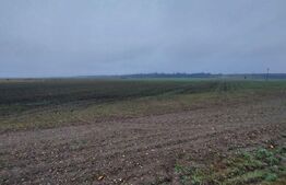 Teren 3000 mp, Corbii Mari