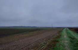 Teren 3000 mp, Corbii Mari