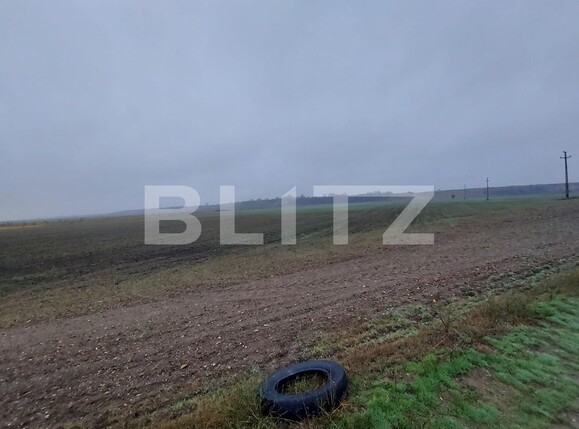 Teren de vânzare Est - 103863TV | BLITZ Târgoviște | Poza1