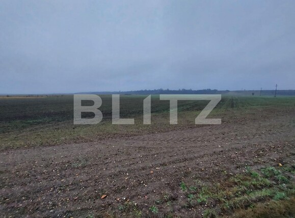 Teren de vânzare Est - 103863TV | BLITZ Târgoviște | Poza2