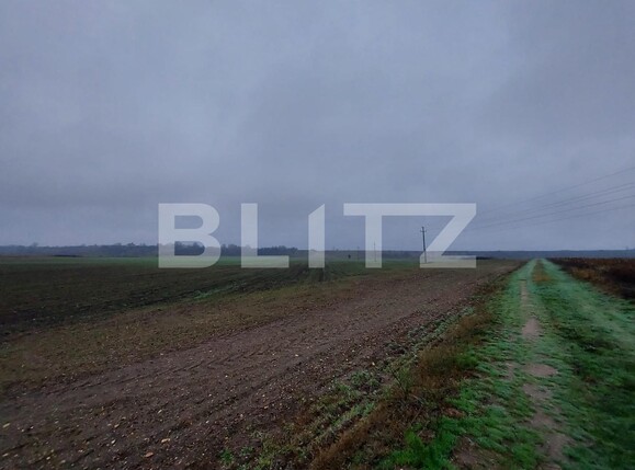 Teren de vânzare Est - 103863TV | BLITZ Târgoviște | Poza3