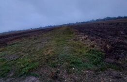 Teren Corbii Mari, 5000 mp