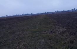 Teren Corbii Mari, 5000 mp