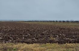 Oportunitate! Teren Comișani, 3600 mp