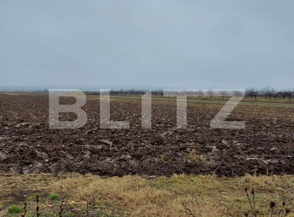 Teren de vânzare Nord-Est - 103928TV | BLITZ Târgoviște | Poza3