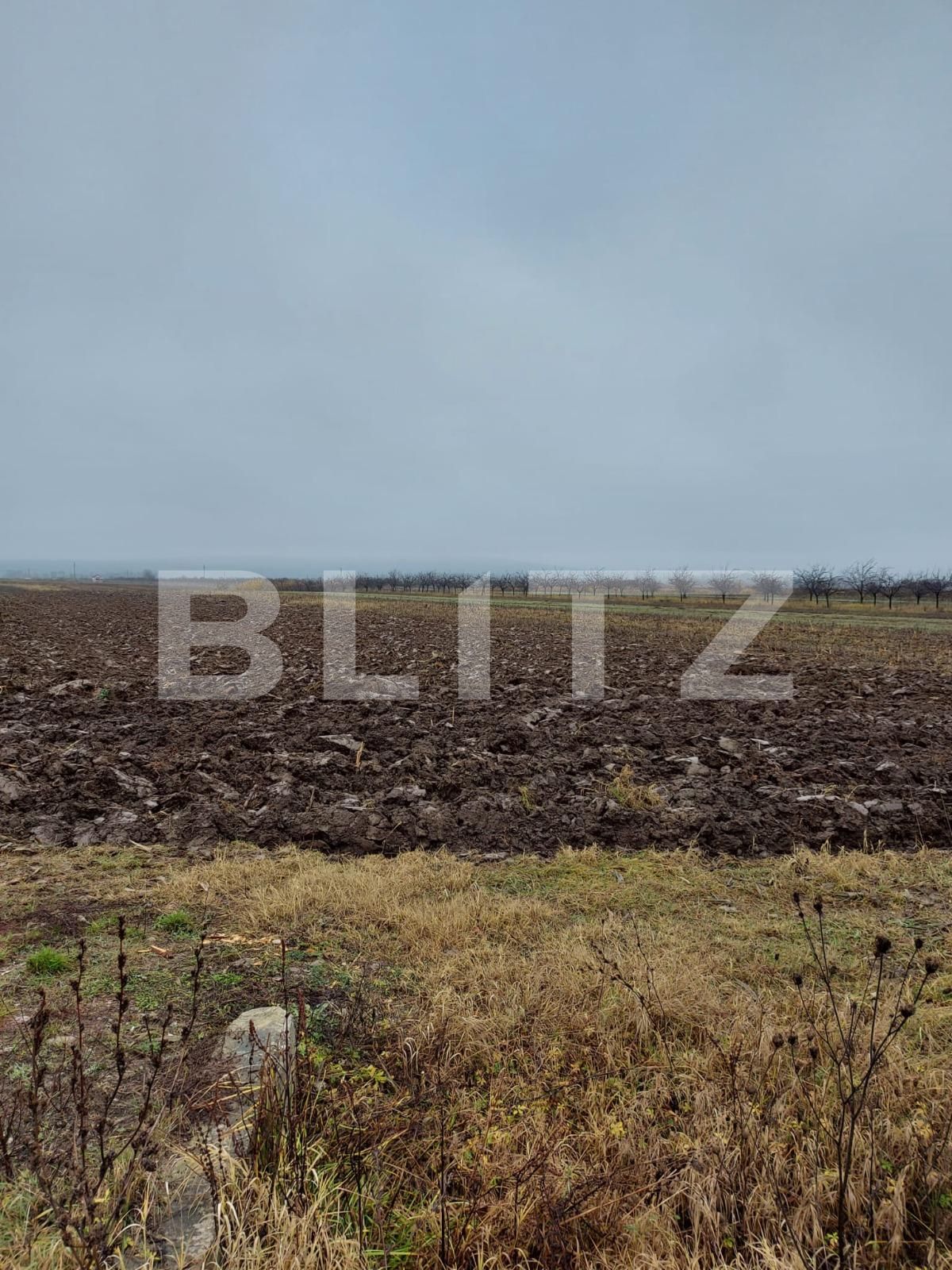 Teren de vânzare Nord-Est - 103928TV | BLITZ Târgoviște | Poza3