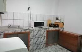 Casă individuală + spațiu comercial, 250 mp, Pucioasa