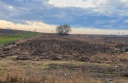 Oportunitate! Teren extravilan, Comișani, 6100 mp