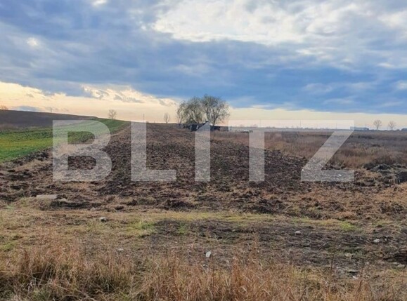 Teren de vânzare Nord-Est - 104067TV | BLITZ Târgoviște | Poza6